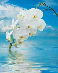 Similar image 8386824