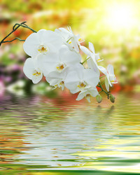 Similar image 8386825