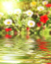 Similar image 8386829