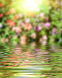 Similar image 8386833