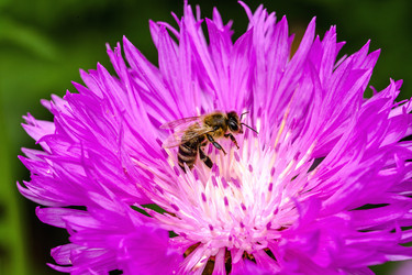 Similar image 8386877