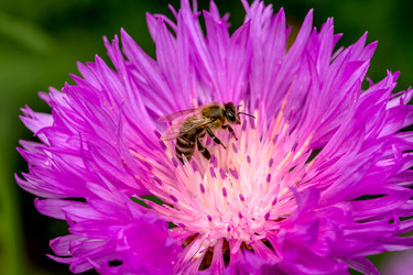 Similar image 8386878