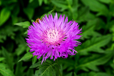 Similar image 8386879