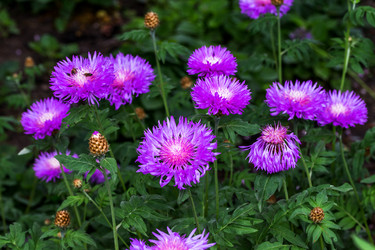 Similar image 8386881