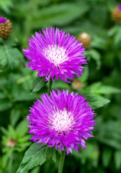 Similar image 8386884