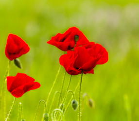 Similar image 8386887