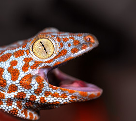 Similar image 8386895