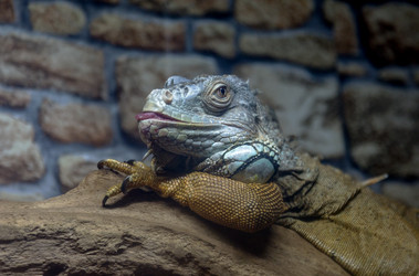 Similar image 8386903