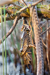 Similar image 8386904