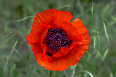 Similar image 8386905