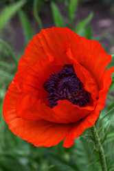 Similar image 8386906