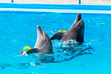 Similar image 8386918