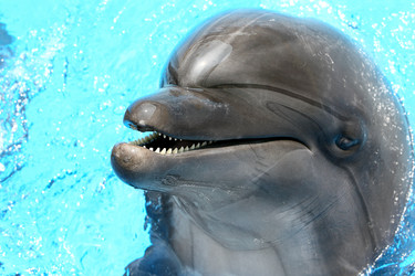 Similar image 8386937