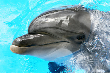 Similar image 8386944