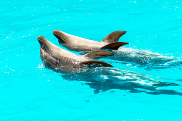 Similar image 8386946