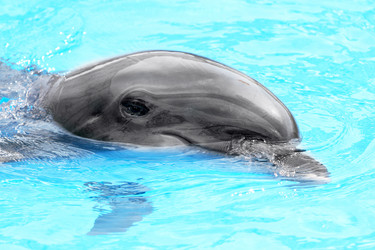 Similar image 8386952