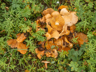 Similar image 8387055