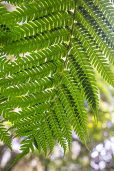 Similar image 8387059