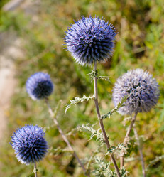 Similar image 8387066