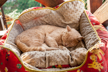 Similar image 8387067