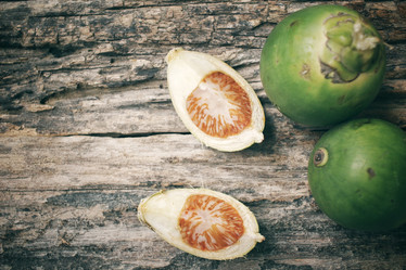 Similar image 8387106