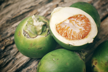 Similar image 8387110