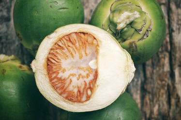 Similar image 8387136