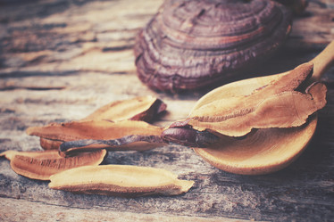 Similar image 8387140