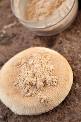 Similar image 8387185