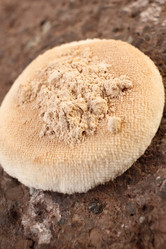 Similar image 8387190