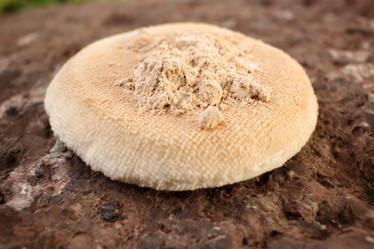 Similar image 8387192