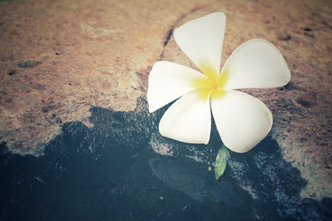 Similar image 8387195