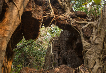 Similar image 8387263