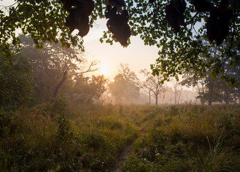 Similar image 8387277