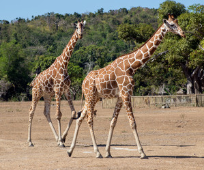 Similar image 8387305