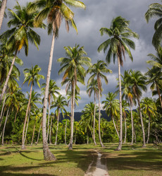 Similar image 8387309