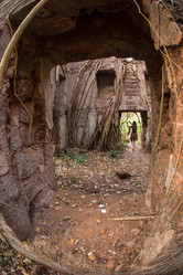 Similar image 8387320