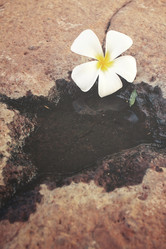 Similar image 8387570