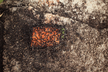 Similar image 8387664