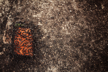 Similar image 8387665