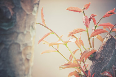 Similar image 8387667