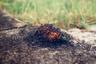 Similar image 8387669