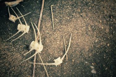 Similar image 8387670