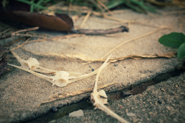 Similar image 8387671