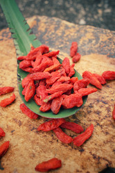 Similar image 8387785