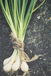 Similar image 8387887