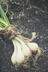 Similar image 8387888