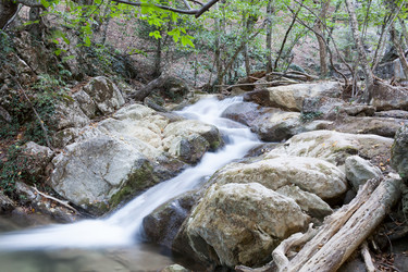 Similar image 8388006