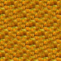 Similar image 8388058