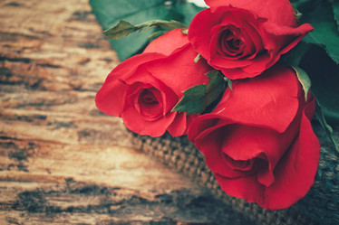 Similar image 8388176